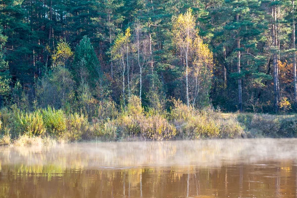 Río de otoño pintoresco en el país —  Fotos de Stock