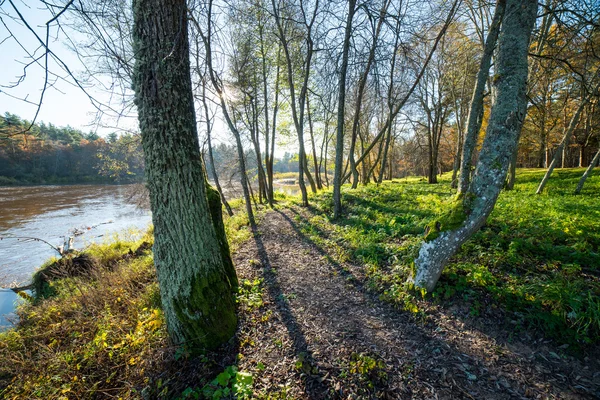 Autunno paesaggio di campagna colorato — Foto Stock