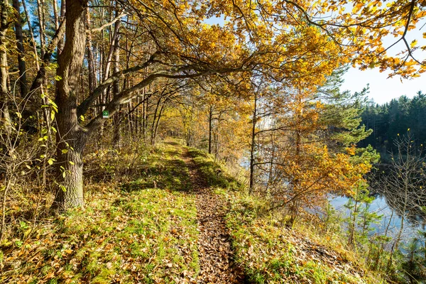 Höstens färgade turism spår i skogen — Stockfoto