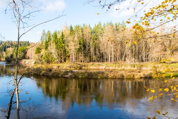 Scenic autumn colored river in country — Stock Photo, Image