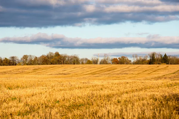 Outono paisagem rural colorido — Fotografia de Stock