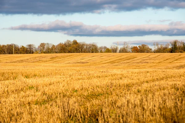 Outono paisagem rural colorido — Fotografia de Stock