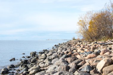 geç sonbahar renkleri deniz kenarında dunes içinde
