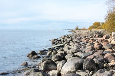 geç sonbahar renkleri deniz kenarında dunes içinde