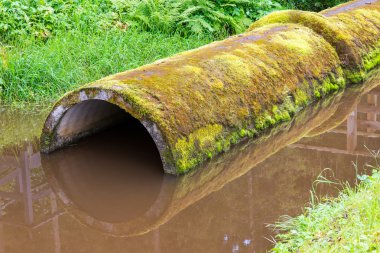 gölgeler ve borular ile yeşil çim