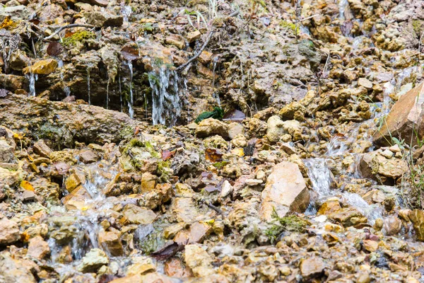 Zandstenen rotsen met waterbron — Stockfoto
