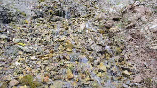 Il fiume scorre sulle rocce — Video Stock