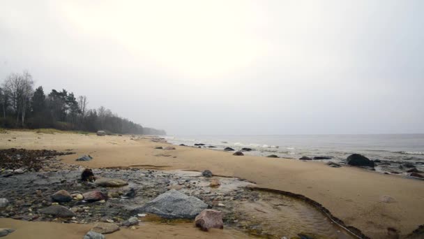 Il fiume scorre sulle rocce — Video Stock