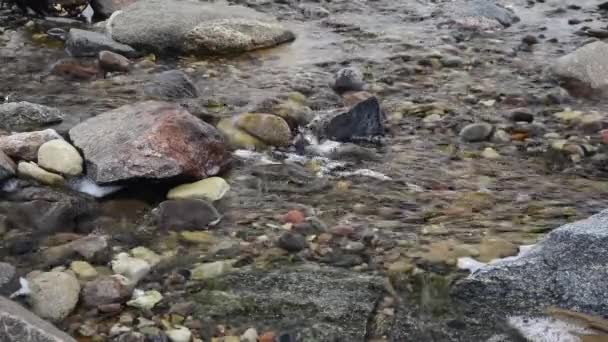 岩の上の川の流れ — ストック動画