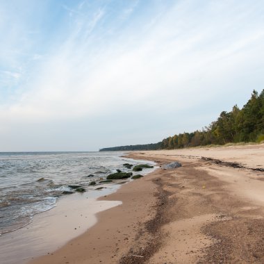 Baltık Denizi plaj kayalar ve kum tepeleri ile kıyı