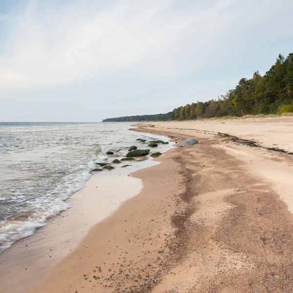 Shoreline of Baltic sea beach with rocks and sand dunes — Stock Photo, Image