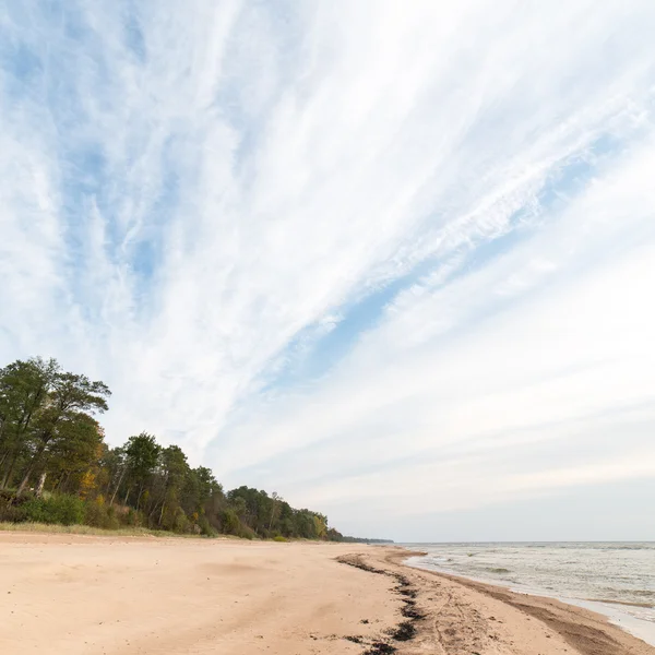Litoral da praia do mar Báltico com rochas e dunas de areia — Fotografia de Stock