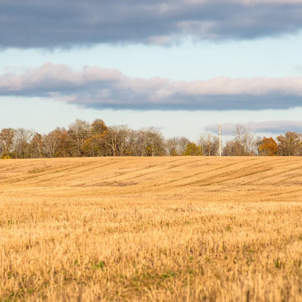 Herbstlich gefärbte Landschaft — Stockfoto