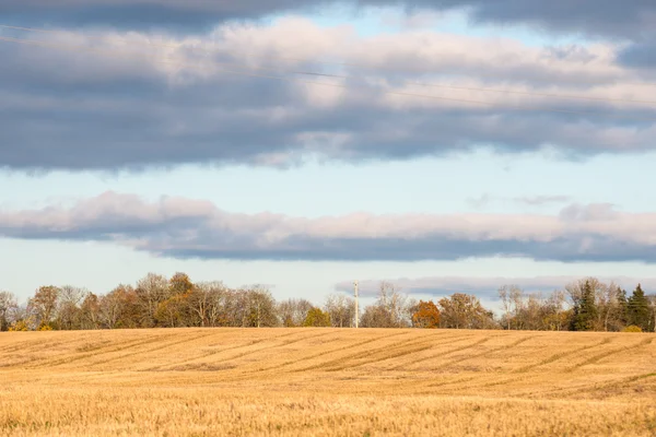 Herbstlich gefärbte Landschaft — Stockfoto