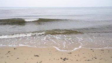 Dalgalar breaking ile denizin kenarında puslu sabah