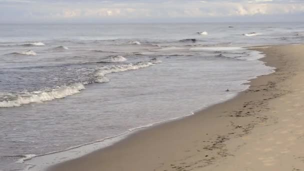 Dimmig morgon vid havet med breaking waves — Stockvideo