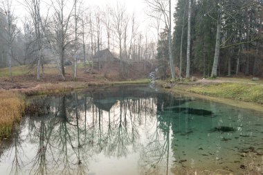 sabah küçük bir göl yansımaları ile temizleyin