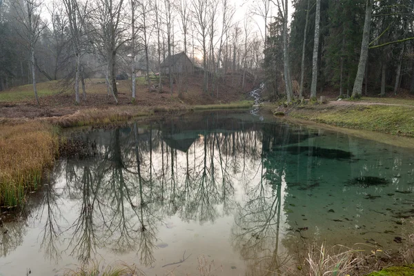 Clara mañana por un pequeño lago con reflejos —  Fotos de Stock