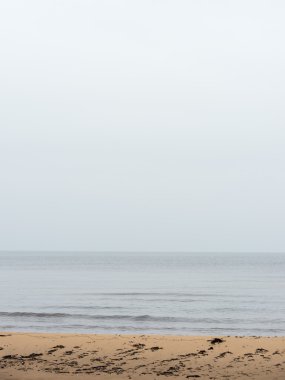 Baltık Denizi ve sisli sabah