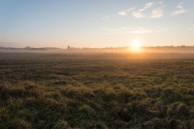 sabah Frost güzel misty çayır