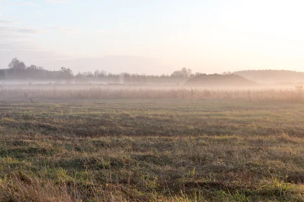 Beautiful misty meadow in the morning frost — Stock Photo, Image