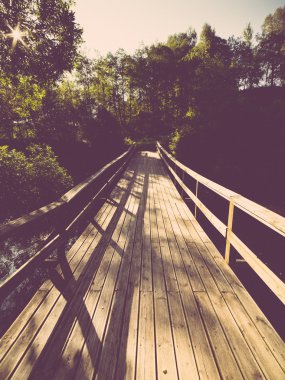 doğal ve güzel turizm iz Nehri yakınında ormanda. Vin