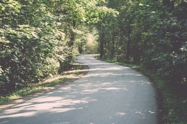 biraz yol ormanda yaktı. Vintage.