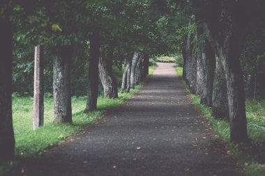 puslu yol sabah. Vintage.