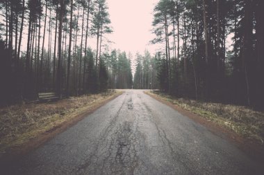 Ormandaki eski yolu. Vintage.