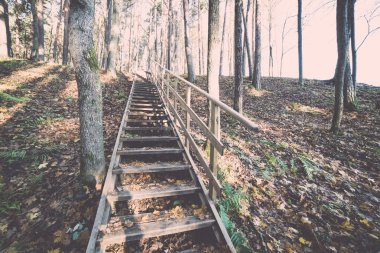 sonbahar renkli turizm iz ormanın içinde. Vintage.