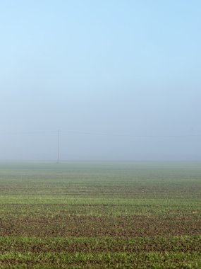 Ağır Sis güzel yeşil çayır