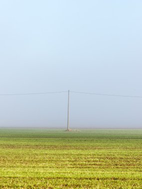 Ağır Sis güzel yeşil çayır