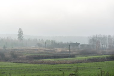 Ağır Sis güzel yeşil çayır