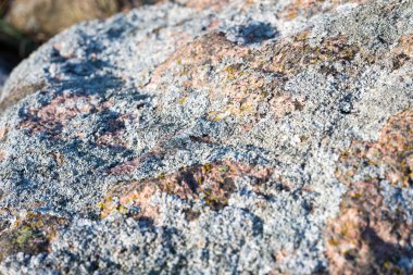 Sütlü su ile gün batımında kayalık plaj