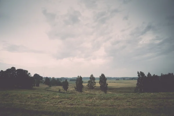 Neblige Felder und Wiesen nach dem Regen im Sommer. Jahrgang. — Stockfoto