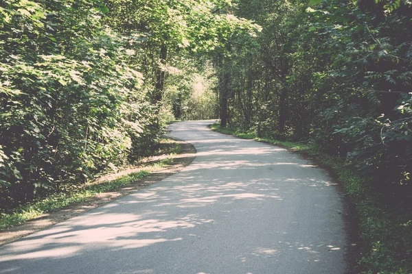 Slightly lit road in the forest. Vintage. — Stock Photo, Image