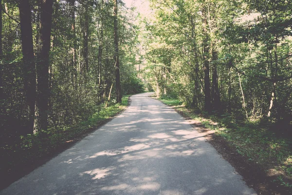 Slightly lit road in the forest. Vintage. — Stock Photo, Image