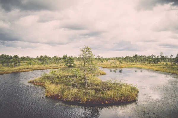 Swamp view with lakes and footpath. Vintage. — Stock Photo, Image