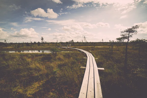 沼の湖沼と歩道。ヴィンテージ. — ストック写真