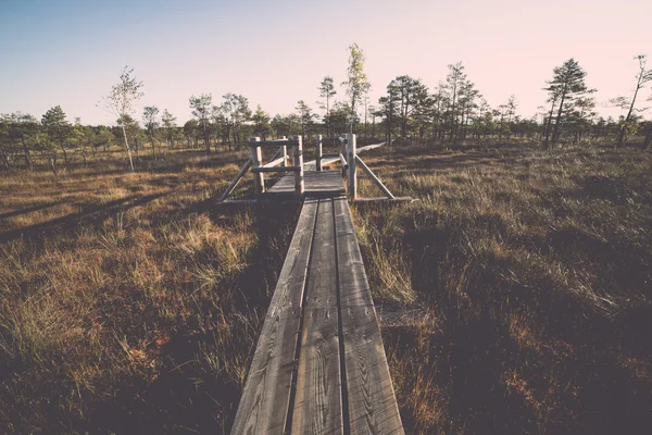 Sentiero in legno sulla palude. Vintage . — Foto Stock