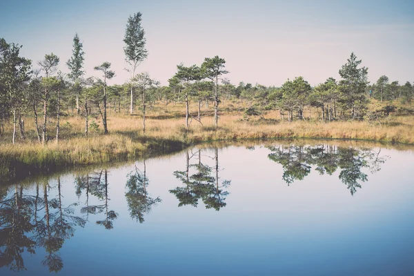 Prachtige rustige landschap van mistige moeras lake. Vintage. — Stockfoto