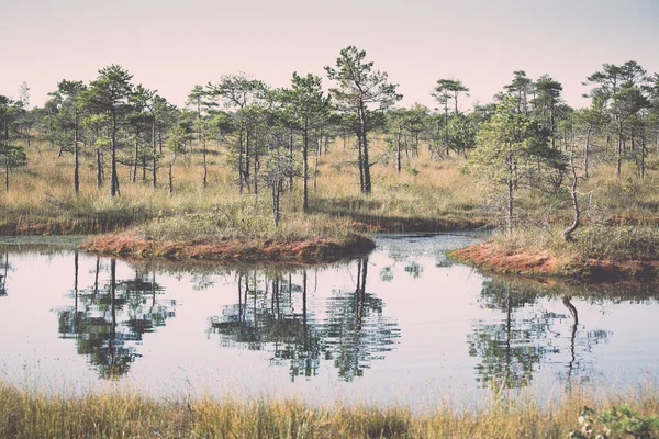 Bellissimo paesaggio tranquillo del lago paludoso nebbioso. Vintage . — Foto Stock