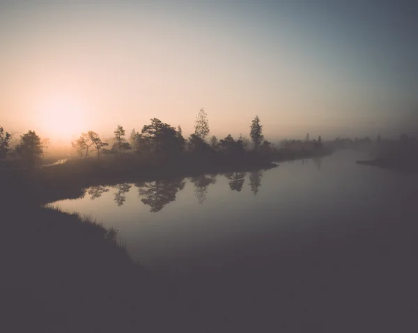 Bela paisagem tranquila do lago pântano nebuloso. Vindima . — Fotografia de Stock