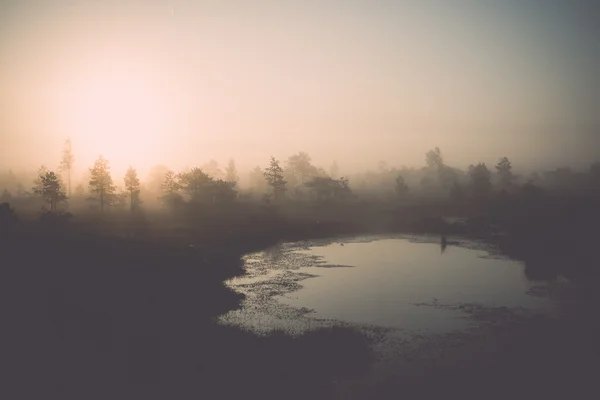 Bellissimo paesaggio tranquillo del lago paludoso nebbioso. Vintage . — Foto Stock