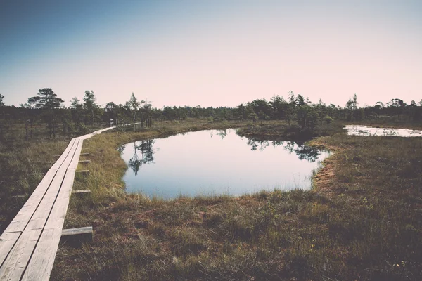 Bellissimo paesaggio tranquillo del lago paludoso nebbioso. Vintage . — Foto Stock