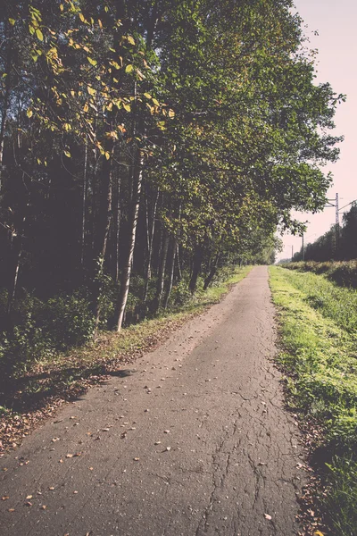 Route de campagne avec bouleaux et vieille route asphaltée. Vintage . — Photo