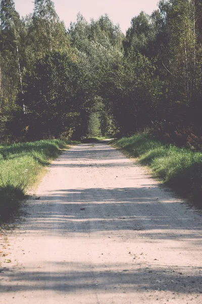 Venkovská krajina s poli a modrá obloha. Ročník. — Stock fotografie