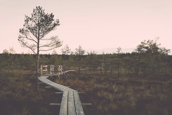 沼地の上の木製の歩道。ヴィンテージ. — ストック写真