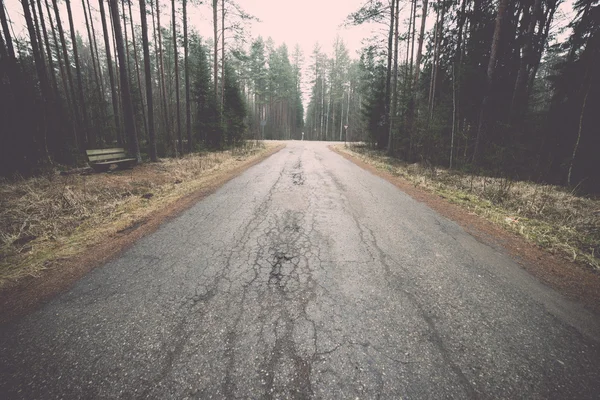 Ormandaki eski yolu. Vintage. — Stok fotoğraf