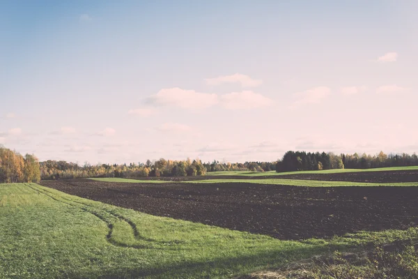 Grüne Wiese mit Bäumen auf dem Land. Jahrgang. — Stockfoto